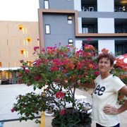  ,   , 66 ,   ,   , c , 