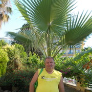  ,   Roma, 65 ,   ,   , c 
