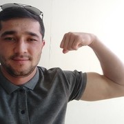 ���������� �������, ���� ������� Yolbars, 40 ���, ������������ ��� ������, ����� � ���������, c�������� ���������