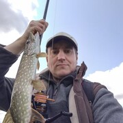 ���������� �����, ���� ������� �������, 41 ���, ������������ ��� c�������� ���������