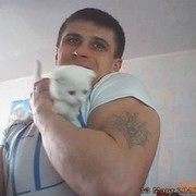  ,   , 44 ,   