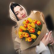 ���������� ���������, ���� ������� ���, 27 ���, ������������ ��� ������, ����� � ���������, c�������� ���������, ���������