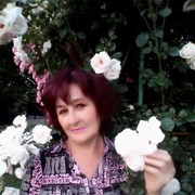  ,   , 60 ,  
