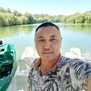 ���������� ��������, ������� �������, 43