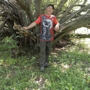  ,   , 40 ,  
