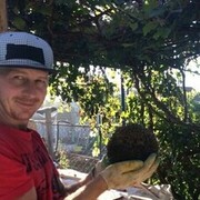 ���������� ���������, ���� ������� ����, 35 ���, ������������ ��� ������, ����� � ���������