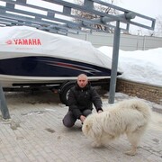  ,   , 53 ,   ,   , c 