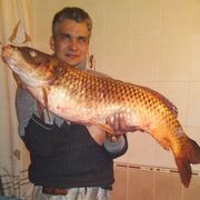  ,   , 56 ,   c 