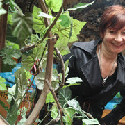 ���������� ������, ���� ������� �����, 55 ���, ������������ ��� ����� � ���������, c�������� ���������