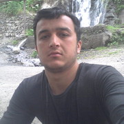  ,  daler, 31