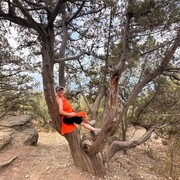 ���������� �����������, ���� ������� �������, 37 ���, ������������ ��� ����� � ���������, c�������� ���������, ���������