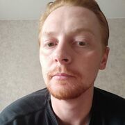  ,   Art, 33 ,   ,   , c 