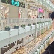  ,   Sher, 33 ,   ,   