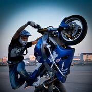 ���������� ��������, ���� ������� ������, 27 ���, ������������ ��� ������, ����� � ���������, ���������