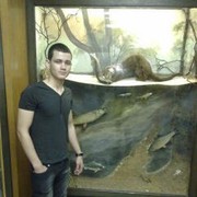  ,   Murchik, 38 ,   