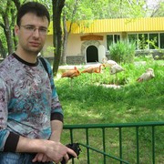  ,   , 43 ,   