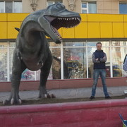 ���������� �������, ���� ������� ����, 35 ���, ������������ ��� ������, ����� � ���������, c�������� ���������, ���������