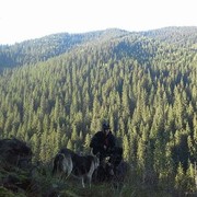 ���������� �����, ���� ������� YourDream, 31 ���, ������������ ��� ������, ����� � ���������, c�������� ���������, ���������