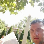  ,   , 41 ,  