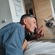  -,   , 56 ,   ,   