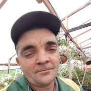  ,   ϸ, 50 ,   c , 
