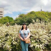 -,   , 52 ,     , c 