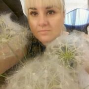 ���������� ����, ���� ������� ��������, 43 ����, ������������ ��� ����� � ���������, c�������� ���������, ���������