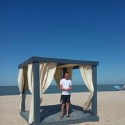  ,   , 29 ,   ,   
