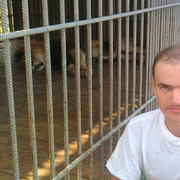 ���������� ���������, ���� ������� ���������, 44 ����, ������������ ��� ����� � ���������, c�������� ���������