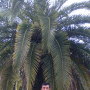  ,   Dilmurod, 39 ,     , c 