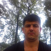  ,  , 44