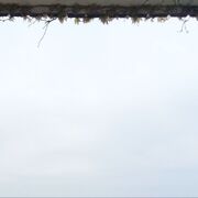 ���������� �����������, ���� ������� �����, 45 ���, ������������ ��� ������, ����� � ���������