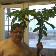 ���������� ���������, ���� ������� ��������, 63 ����, ������������ ��� ������, ����� � ���������, c�������� ���������