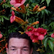 ���������� �����������, ���� ������� �������, 48 ���, ������������ ��� ������, ����� � ���������, c�������� ���������