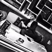 ���������� ������, ���� ������� Radu, 29 ���, ������������ ��� ������, ����� � ���������, c�������� ���������