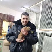  ,   , 58 ,   c , 