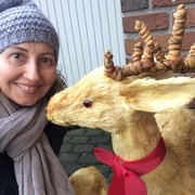 ���������� ������ ��������, ���� ������� ����, 54 ����, ������������ ��� ����� � ���������, c�������� ���������