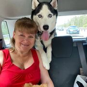 ���������� �����-���������, ���� ������� �����, 50 ���, ������������ ��� ����� � ���������, c�������� ���������