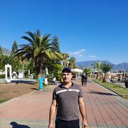  ,   lik, 38 ,   ,   