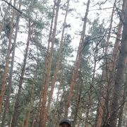 ���������� ������, ���� ������� ���, 43 ����, ������������ ��� ������, ����� � ���������