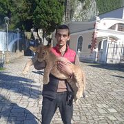 ���������� ����, ���� ������� �������, 26 ���, ������������ ��� ������, ����� � ���������