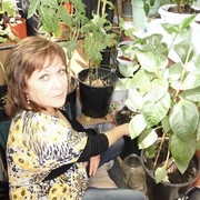 ���������� ������, ���� ������� �������, 66 ���, ������������ ��� ������, ����� � ���������, c�������� ���������