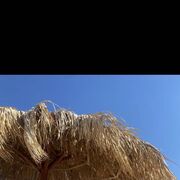 ���������� ������, ���� ������� ��, 55 ���, ������������ ��� ������, ����� � ���������