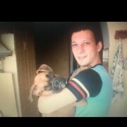 ���������� ������, ���� ������� �����, 43 ����, ������������ ��� ������, ����� � ���������, c�������� ���������