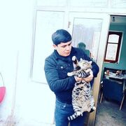  ,   , 34 ,  