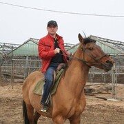 ���������� ����������, ���� ������� ������, 39 ���, ������������ ��� ������, ����� � ���������