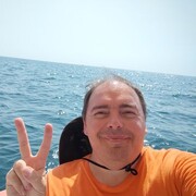 �� ���� ������...