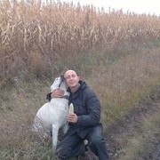  ,   , 51 ,   