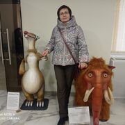  ,   , 56 ,   