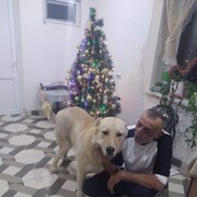  Nepasice,   , 56 ,   ,   